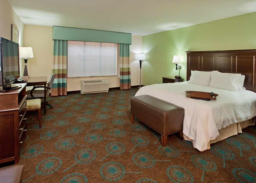 Room, 1 King Bed, Accessible - Photo 2