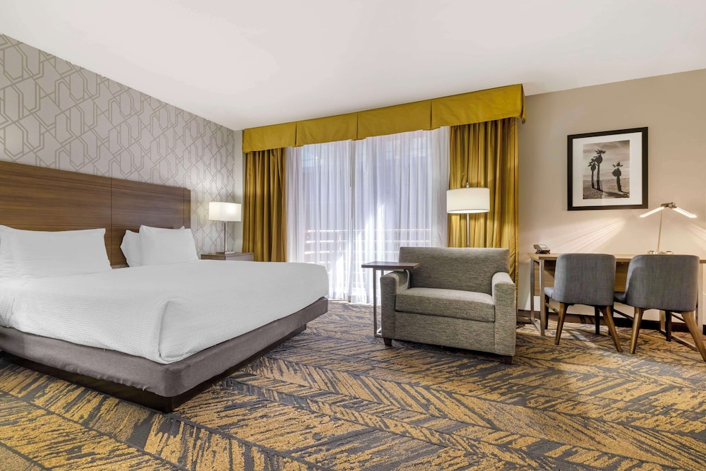 Standard Room, 1 King Bed, Accessible, Refrigerator & Microwave - Photo 1