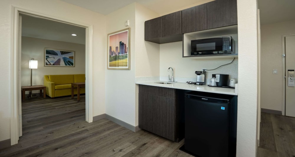 Suite, 1 King Bed, Non Smoking, Refrigerator & Microwave (with Sofabed) - Photo 3