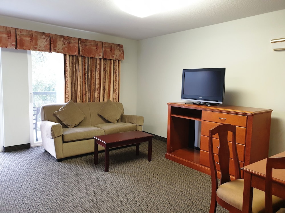 Suite, 3 Queen beds photo 3