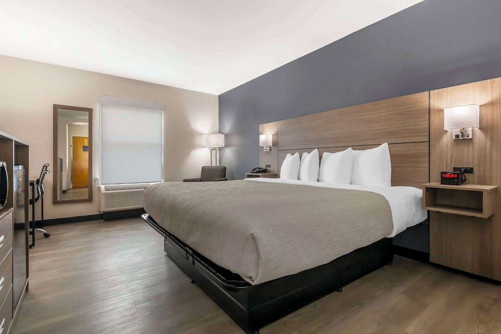 Standard Room, 1 King Bed, Non Smoking - Photo 7