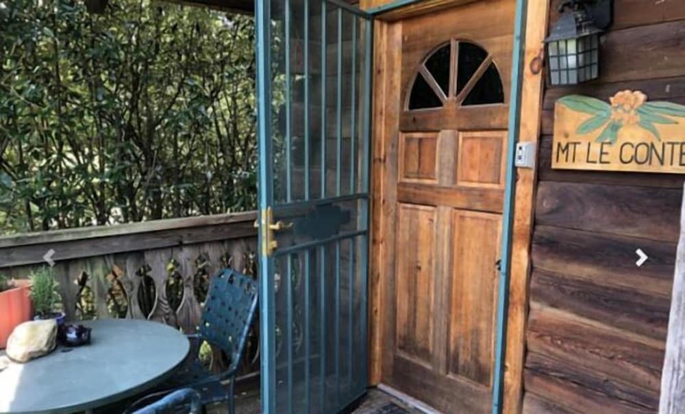 Mt. Leconte Cabin Suite photo 2