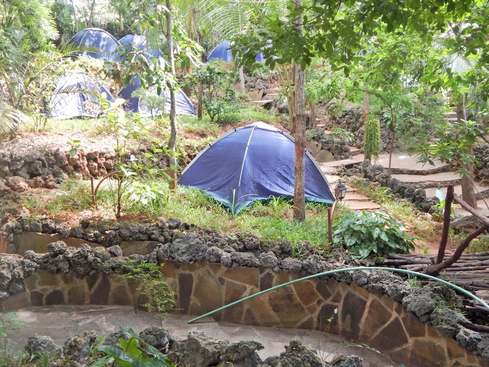 Basic Tent