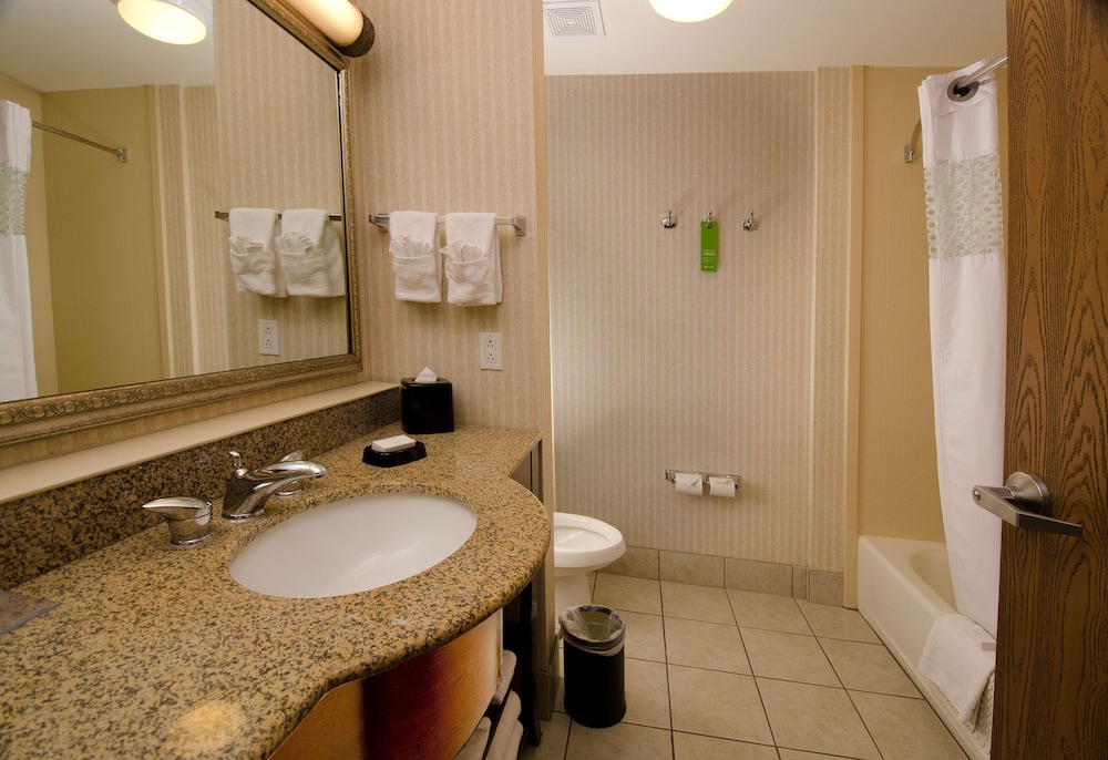 Studio, 1 King Bed, Accessible (Roll-In Shower) - Photo 2