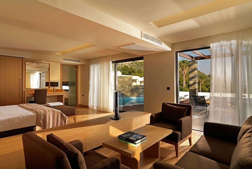 Deluxe Suite, 1 King Bed, Garden View (Junior,Private Pool) photo 2