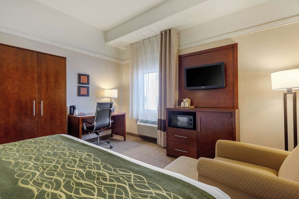 Standard Room, 1 King Bed, Non Smoking - Photo 5