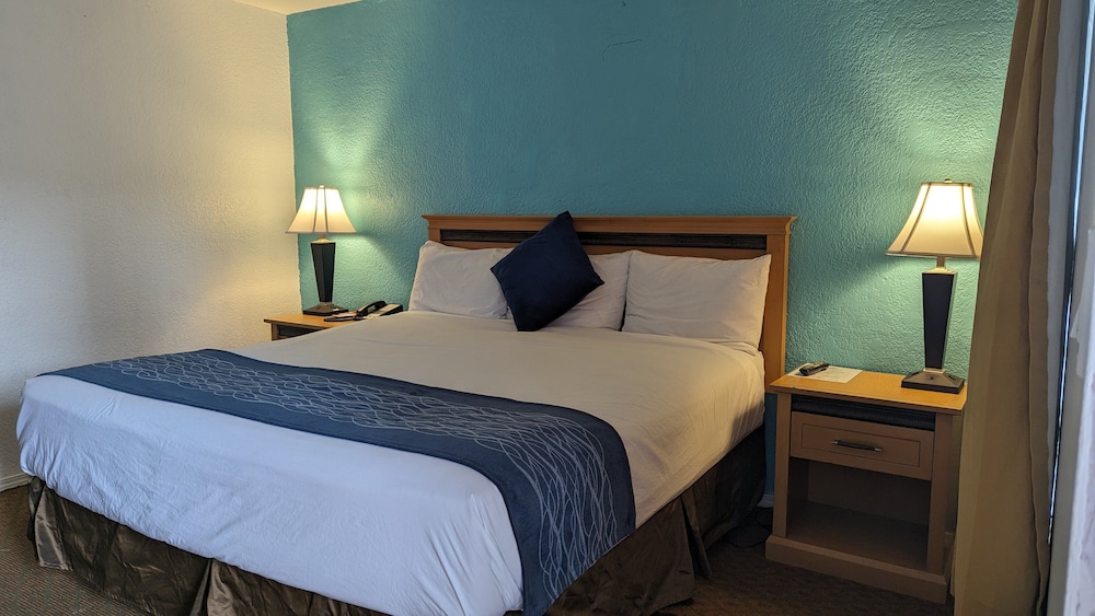 Kitchenette, 1 King Bed, non smoking photo 1