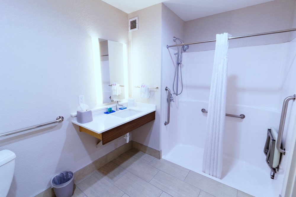 Standard Room, 1 King Bed, Accessible (Communications, Roll In Shower) - Photo 1