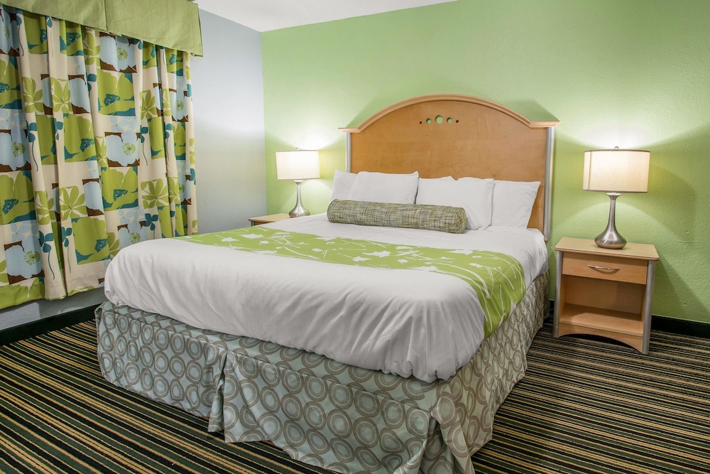 Suite, 1 King Bed, Non Smoking - Photo 4