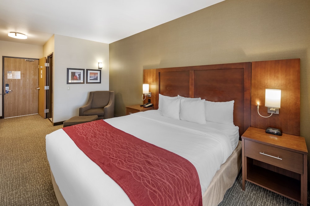 Room, 1 King Bed, Non Smoking - Photo 1