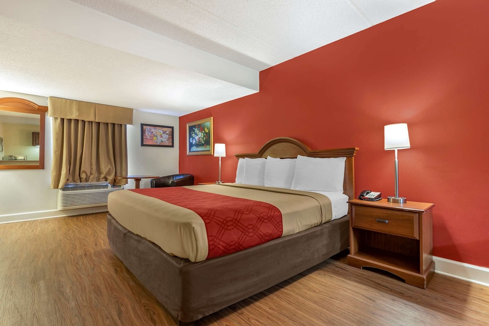 Suite, 1 King Bed, Non Smoking photo 3