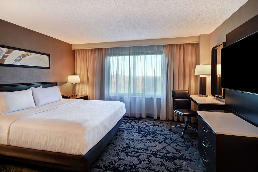 Suite, 1 King Bed, Accessible (Roll-In Shower) - Photo 2
