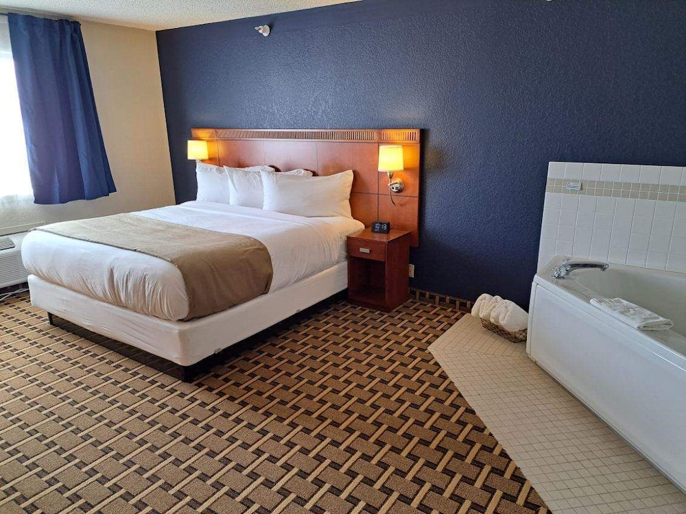 Premium Single Room photo 1