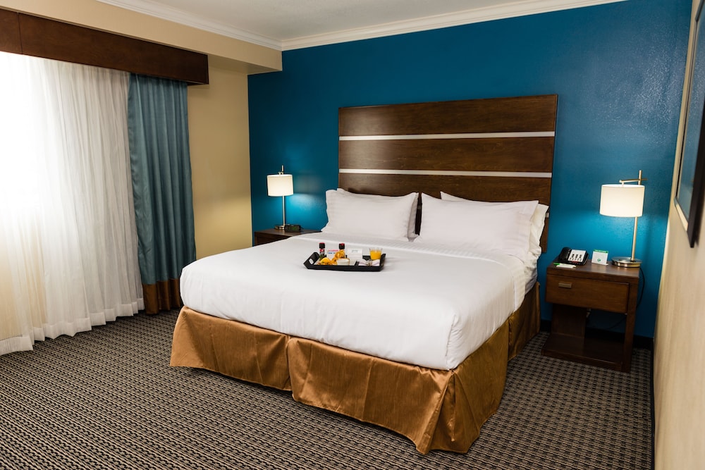Standard Room, 1 King Bed, Accessible (Comm, Access Tub) photo 3