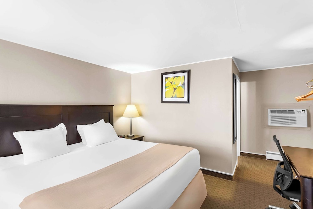 Standard Room, 1 King Bed, Non Smoking - Photo 5