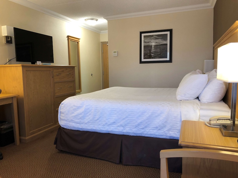 Standard Room, 1 King Bed, Non Smoking photo 1