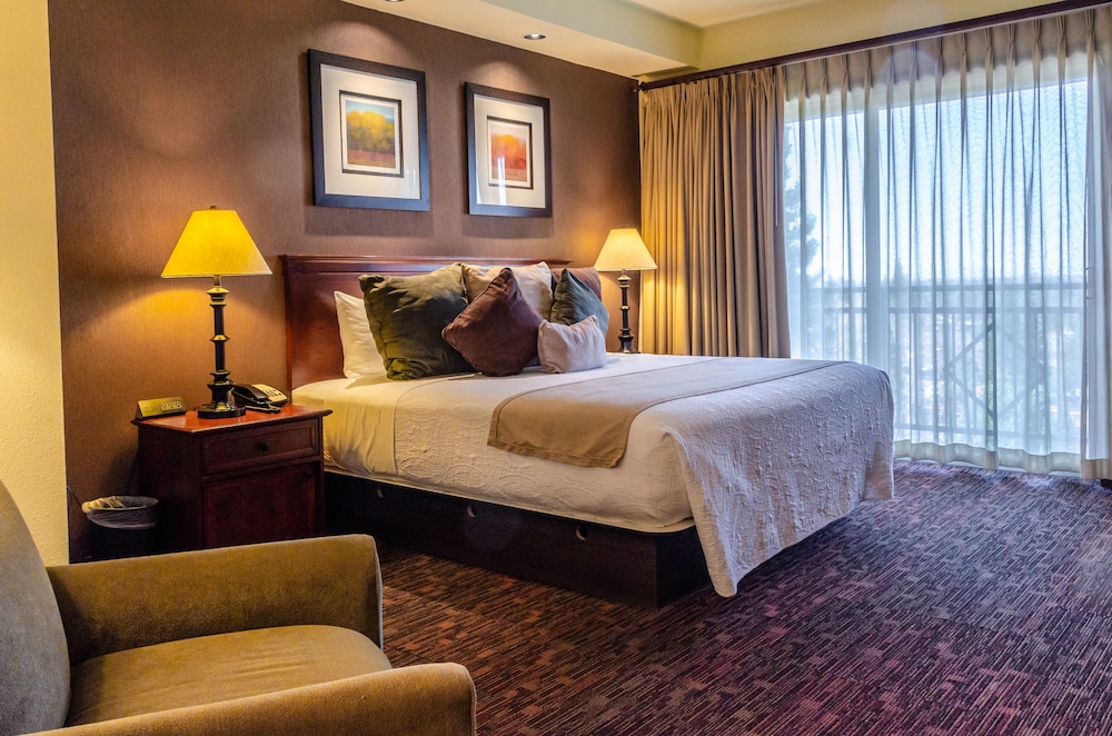 Deluxe Room 1 King Bed photo 2