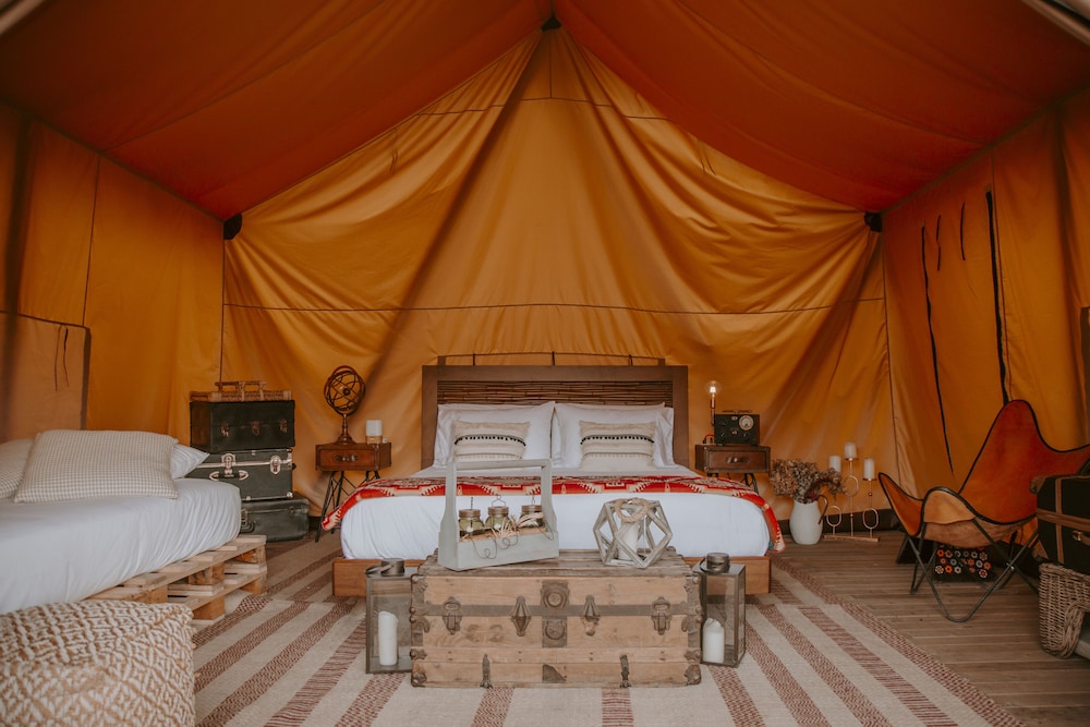 Safari Lux 2 - Photo 13