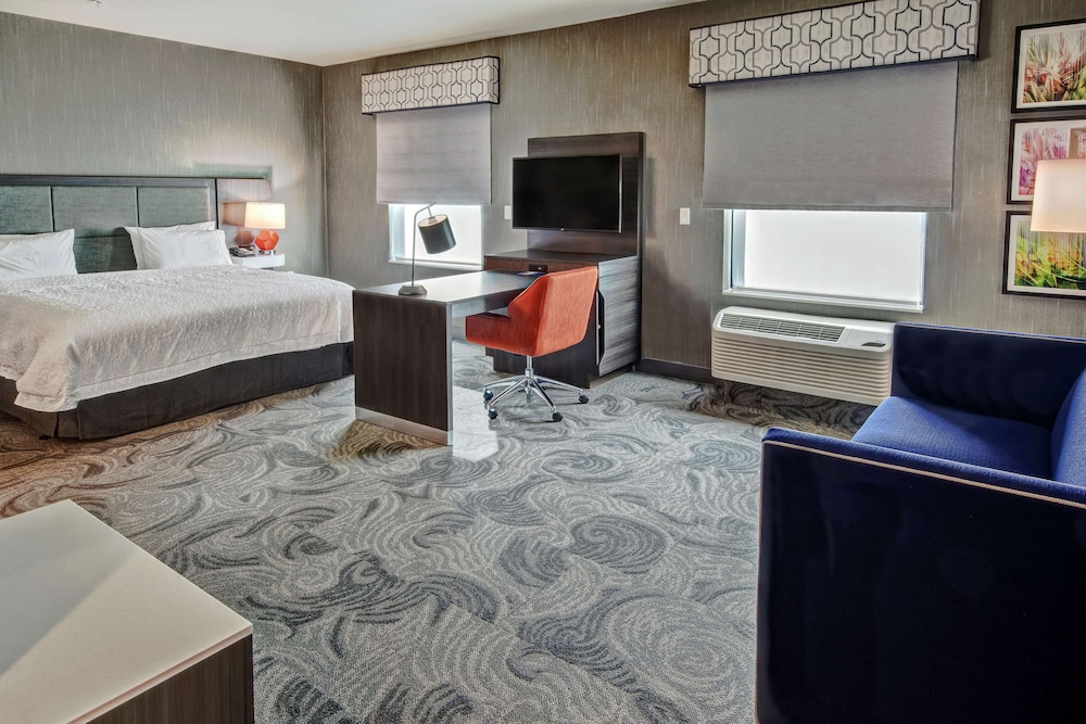 Room, 1 King Bed, Accessible, Bathtub (Hearing) - Photo 1