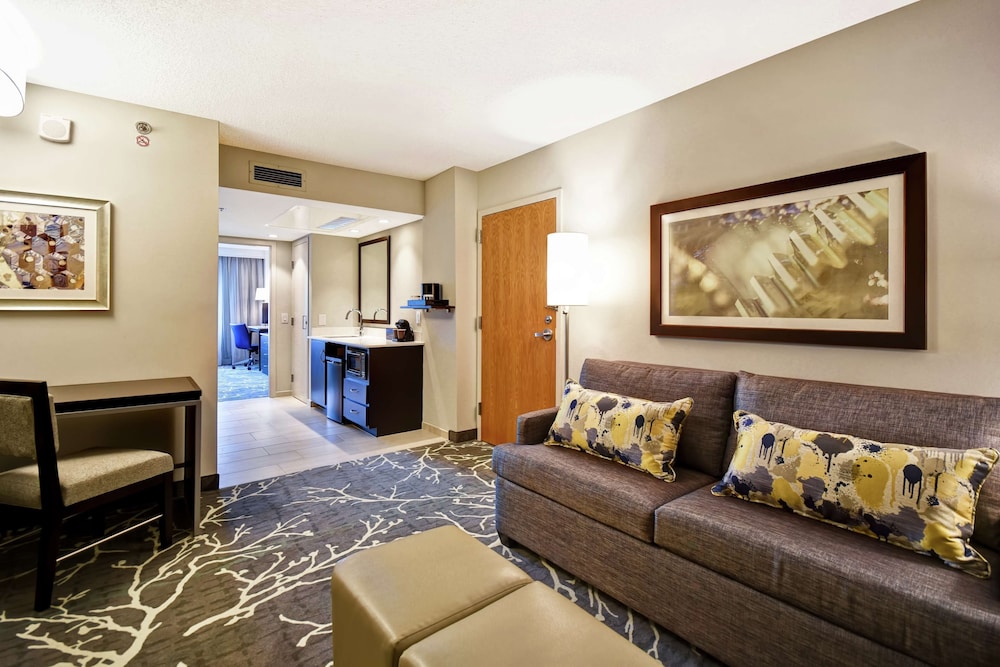 Suite, 1 King Bed, Accessible (Roll-In Shower) - Photo 4