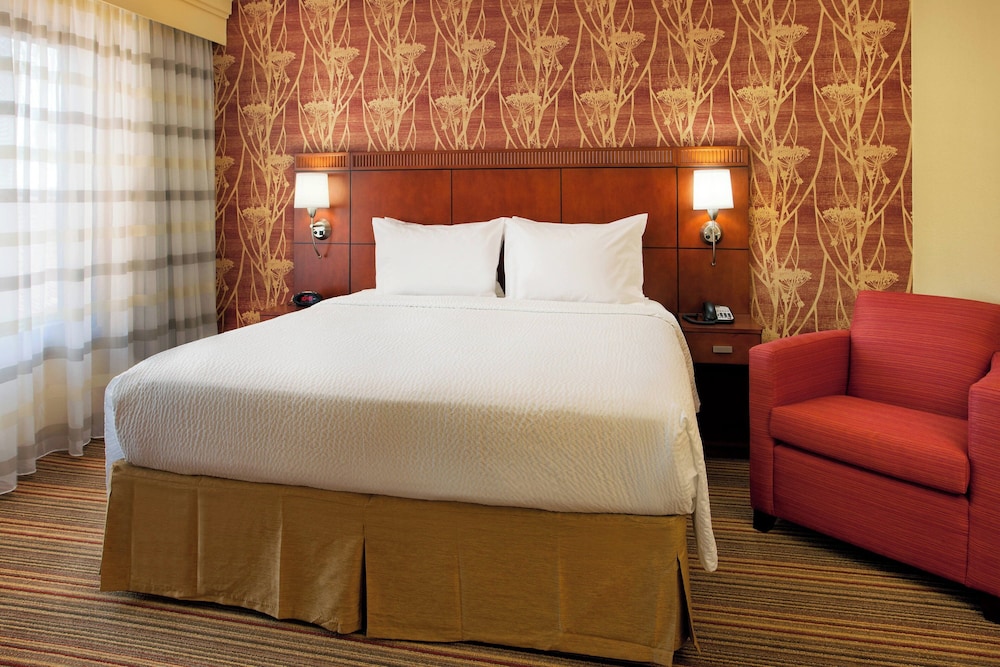 Suite, 1 King Bed with Sofa bed - Photo 3