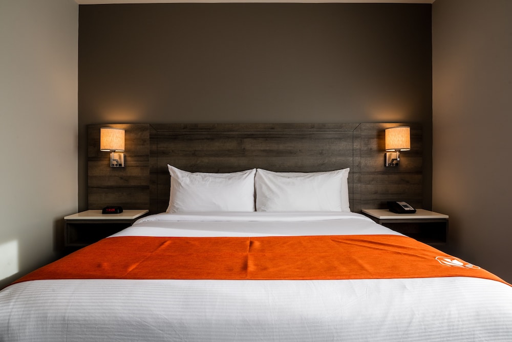 Suite, 1 King Bed, Non Smoking photo 3