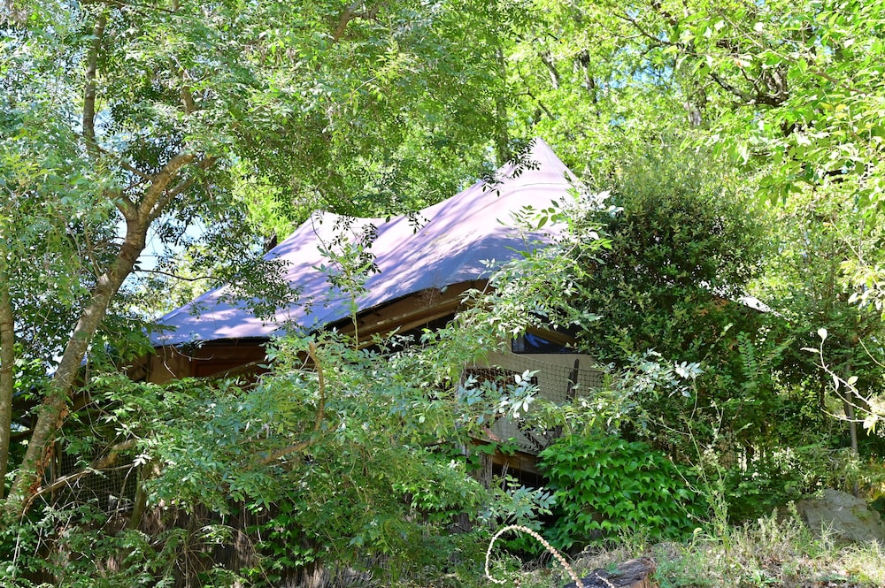 Party Tent (Hibou)