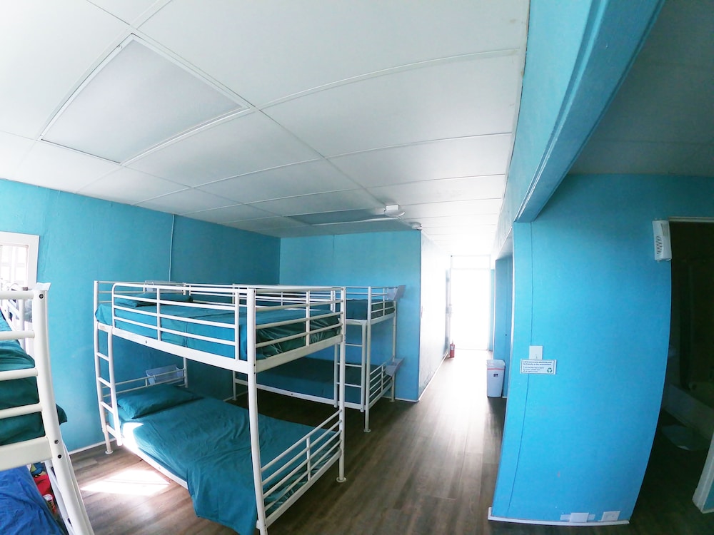 12 Bed Mixed Dormitory photo 1