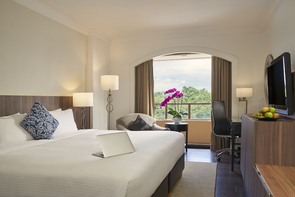 Deluxe Room photo 1