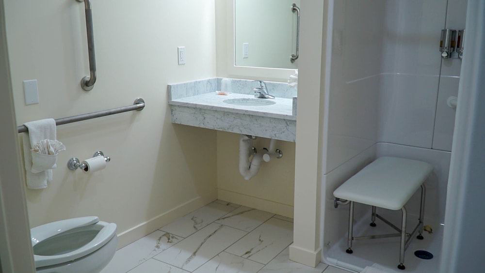 Room, 1 King Bed, Accessible, Pool View (Wheelchair) photo 2