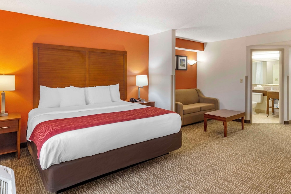 Deluxe Suite, 1 King Bed, Non Smoking - Photo 4