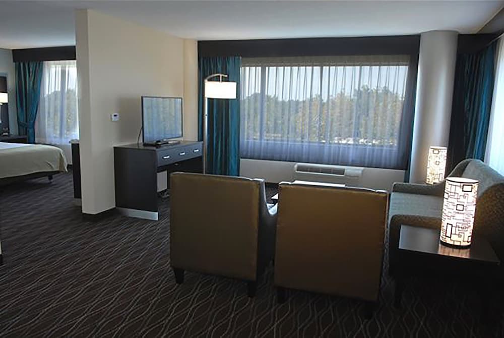 Suite, 1 King Bed, Accessible (Communications Accessible) - Photo 2