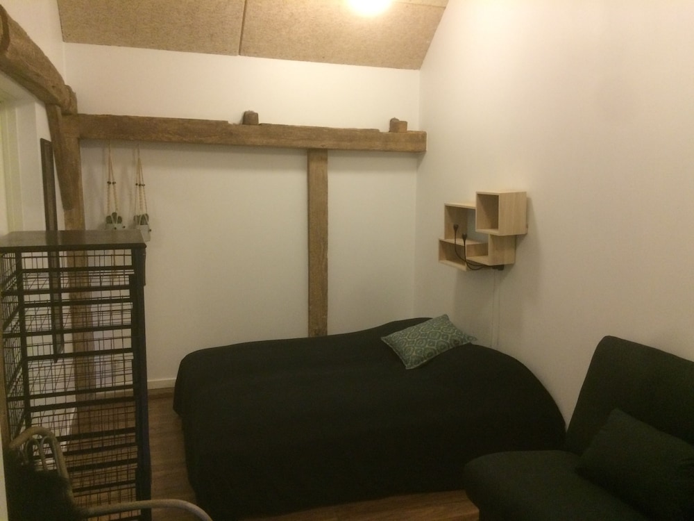 Basic Apartment, Multiple Bedrooms (24 persons, shared living room)