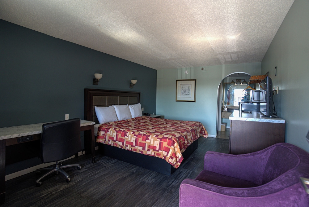 Single Room, 1 King Bed