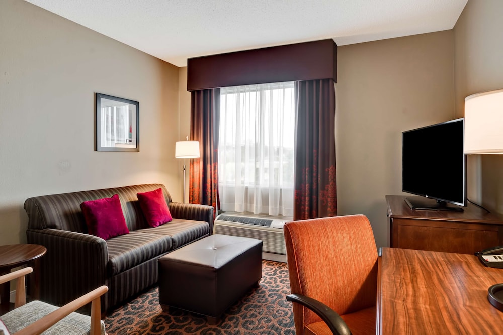 Suite, 1 King Bed, Accessible, Non Smoking (Hearing Impaired) - Photo 1
