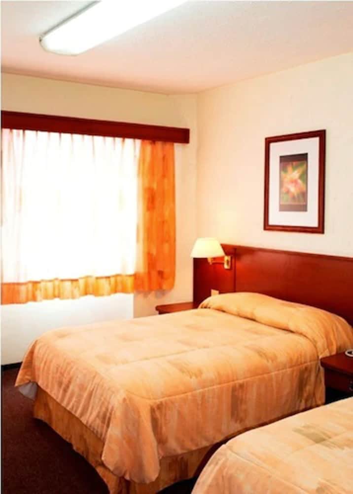 Executive Double Room, 2 Double Beds photo 1