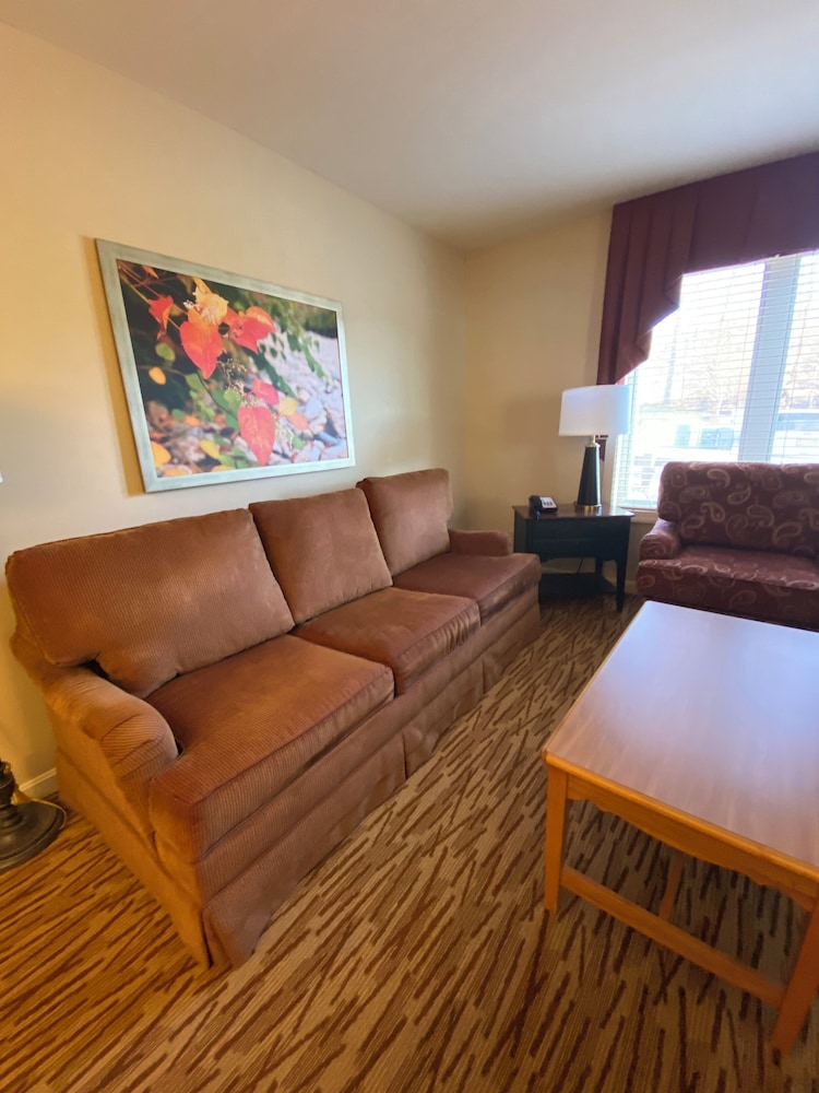 One Bedroom Suite photo 1
