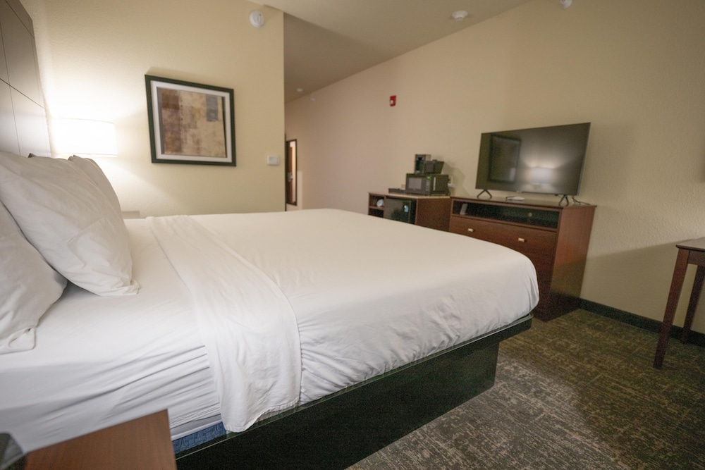 Room, 1 King Bed, Accessible, Non Smoking (Guestroom) - Photo 3