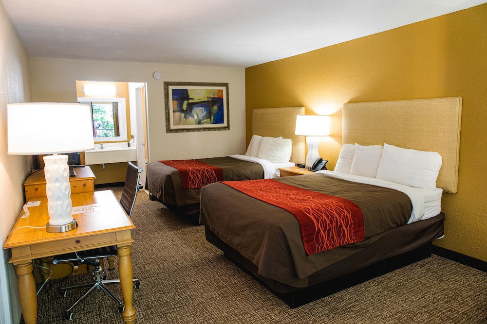 Classic Double Room, 2 Double Beds photo 3