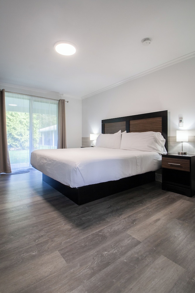 Standard Room (1 King bed- NO PETS) photo 3