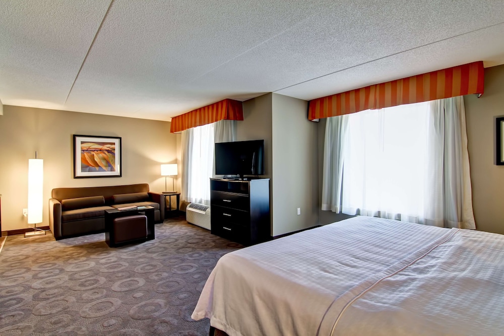 Studio, 1 King Bed, Accessible (Hearing)