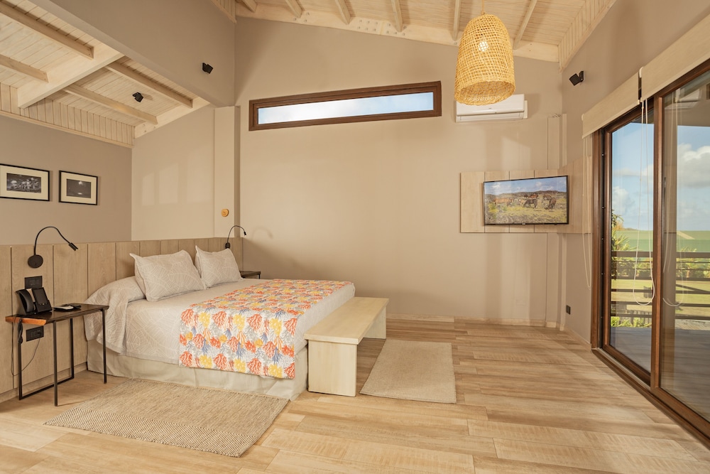 Suite - Photo 5