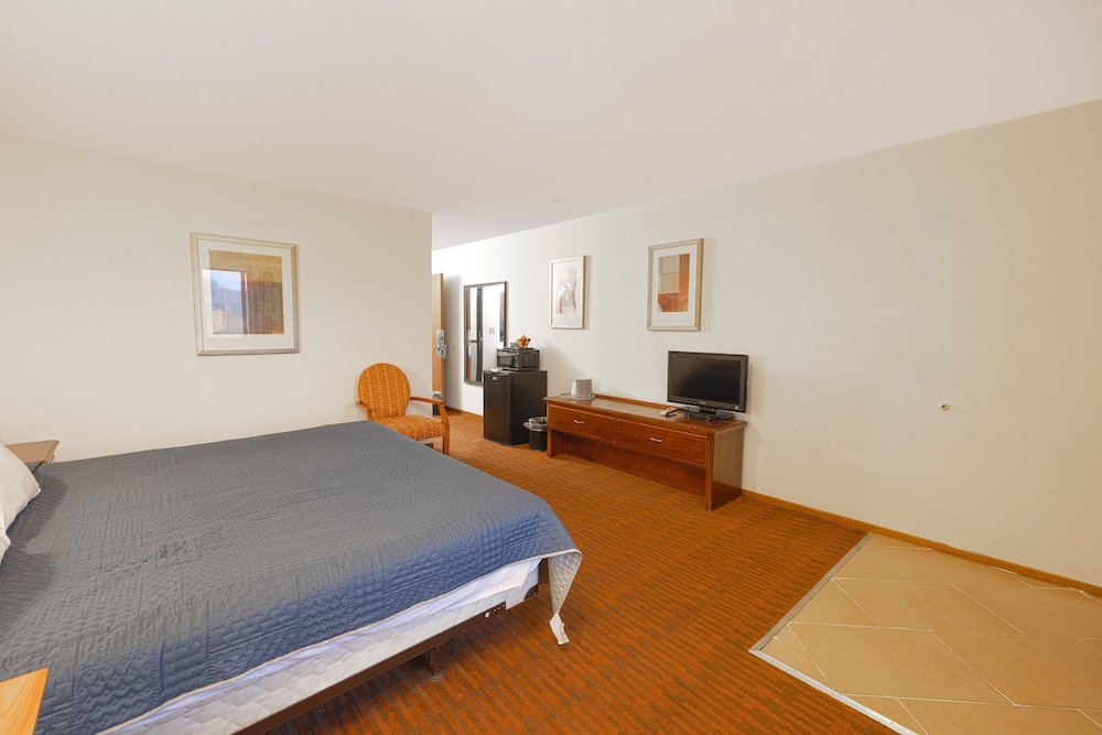 Room, 1 King Bed, Smoking photo 3