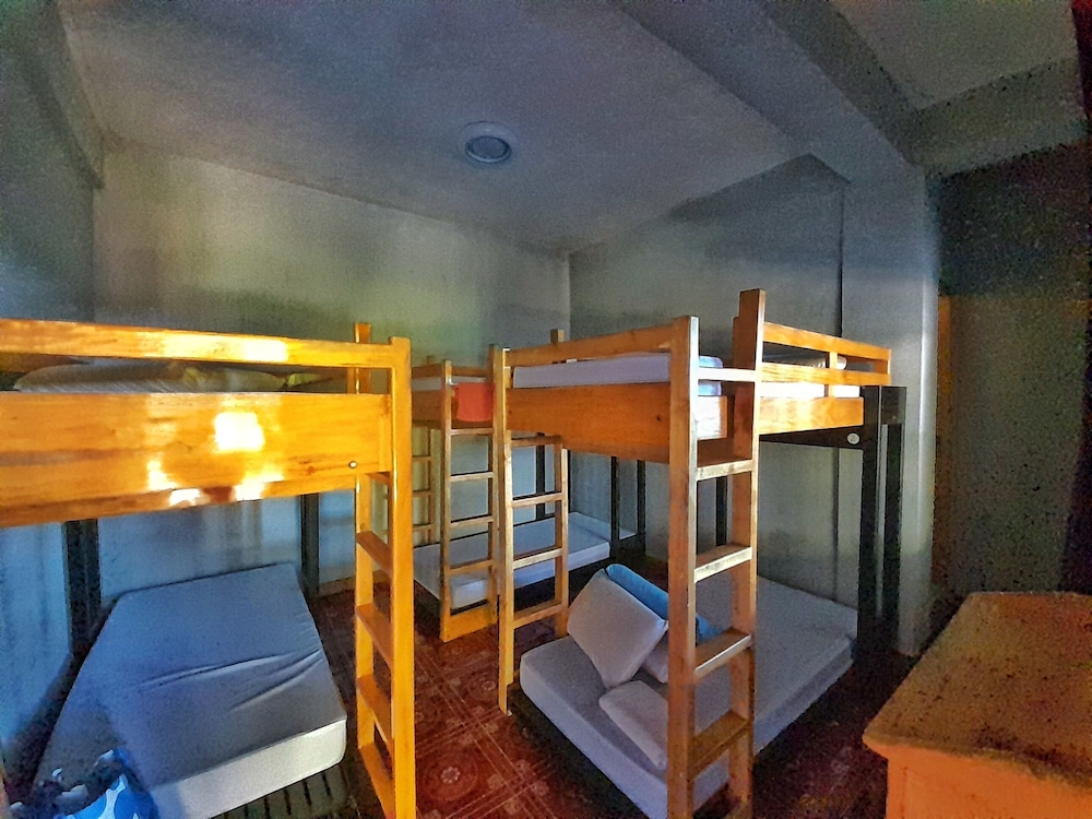 Basic Shared Dormitory, Mixed Dorm photo 1