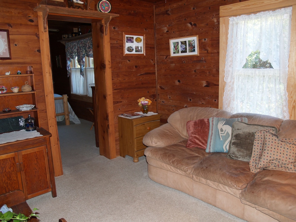 Standard Suite, 1 Bedroom photo 2