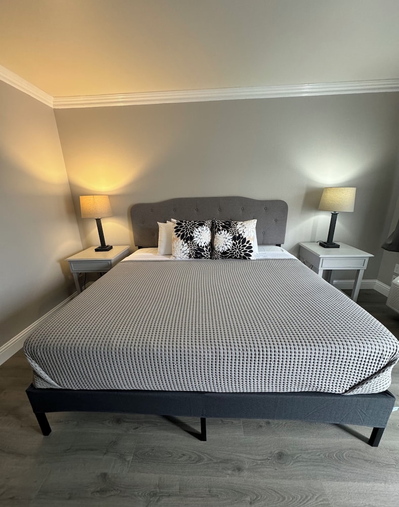 Traditional Room, 1 King Bed photo 3