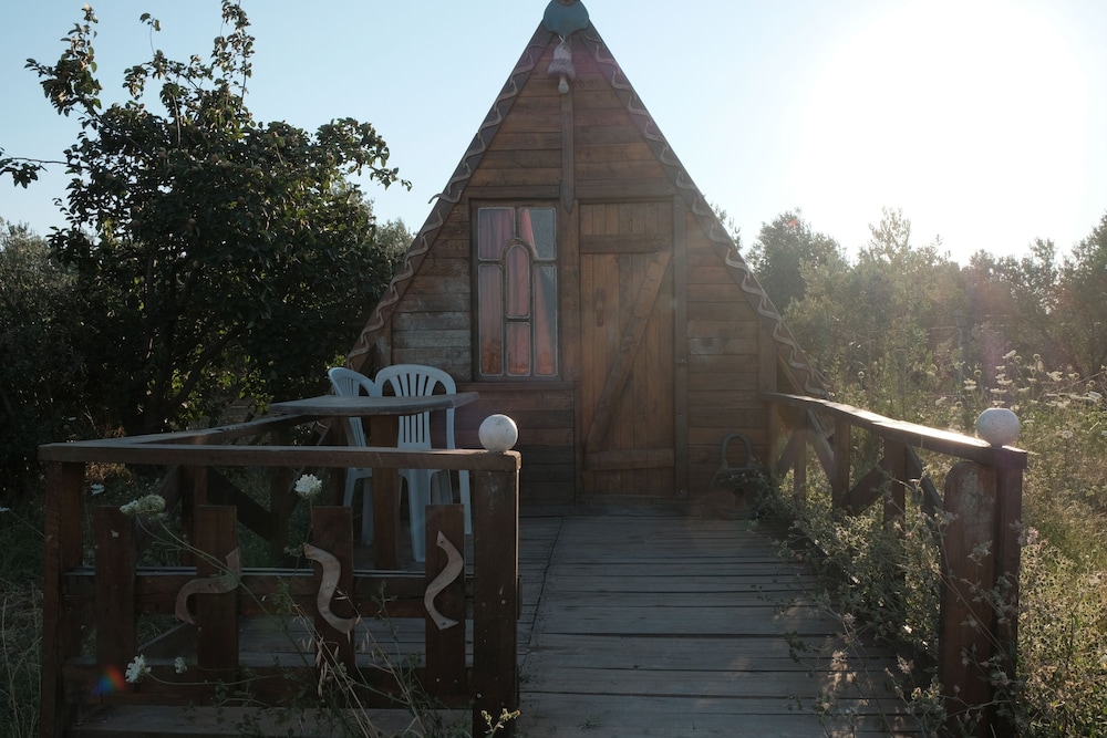 Basic Cabin photo 3