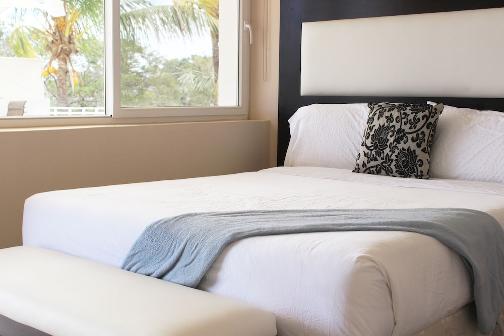 Junior Suite, 1 King Bed photo 1