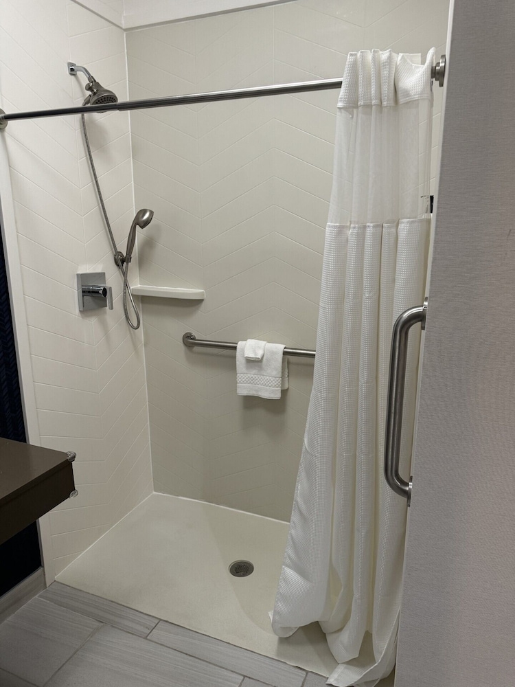 Room, 1 King Bed (Mobility/Hearing Access, Roll-In Shwr) - Photo 4