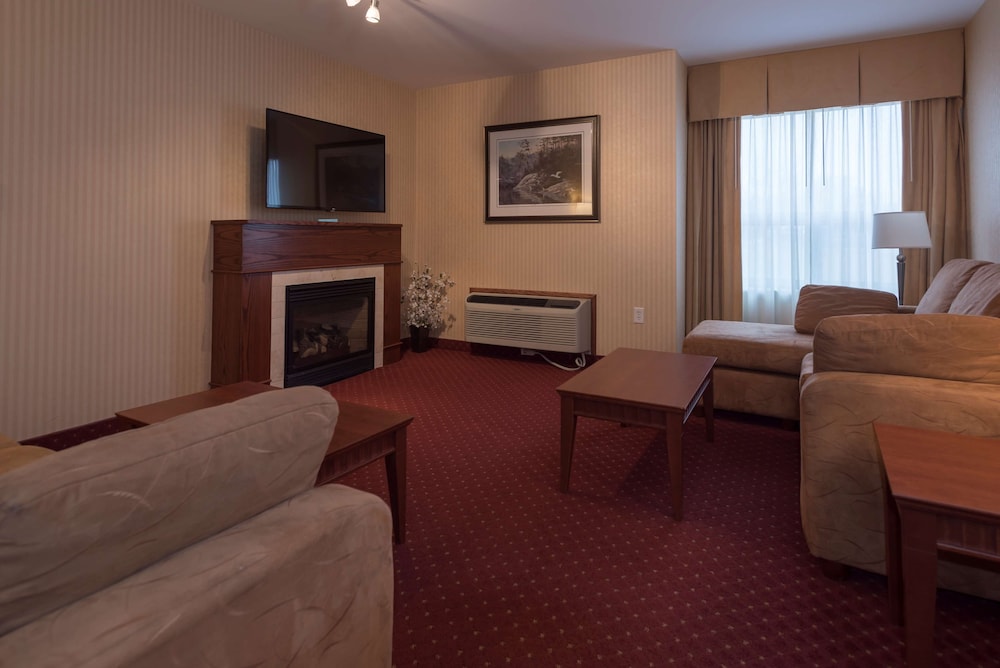Suite, 1 King Bed, Non Smoking, Fireplace (Living Room;with Sofabed) - Photo 1